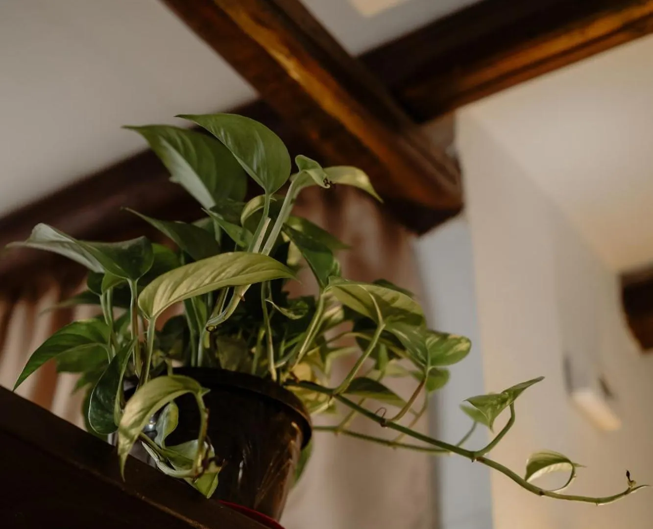 Apartament Il Rifugio Dell'Orologio Palermo